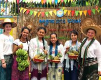 My first two weeks in Cambodia: Jordyn’s story