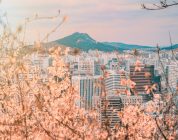 South Korea: an epic TEFL destination