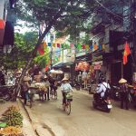 Emily’s Vietnam TEFL Internship experience so far…