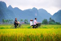 How Much to Budget for Teaching English in Vietnam