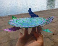 Fun ways to get your students learning about the environment