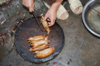 10 Weirdest Foods to Eat Before You Die