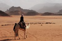Meet Lorie Sprague, Jordan-based Online English Teacher