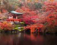 Which countries pay the most for English teachers?