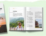 What is TEFL?