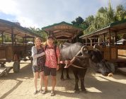 How Aussie Globe Trotter Natalie Settled on a TEFL Career in Japan