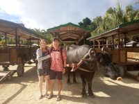 How Aussie Globe Trotter Natalie Settled on a TEFL Career in Japan