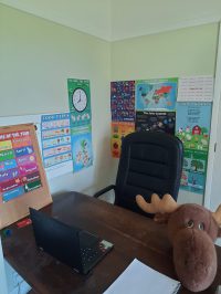 Best Online Teaching Background Ideas