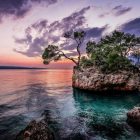 Top 3 Festivals in Thailand You Can’t Miss During Your TEFL Adventure