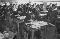 The Financial Tightrope: Navigating ALT Salaries in Japan