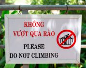 Your Passport to Teaching: Navigating TEFL Certification Without a Degree