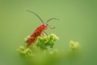 The Unspoken Classroom: How Travel Transforms Your Teaching