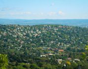 Beyond the Native Speaker: Finding Your TEFL Footprint in Budapest