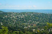 Beyond the Native Speaker: Finding Your TEFL Footprint in Budapest