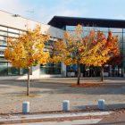 Your Teaching Career: A Guide to Education Degrees in Japan