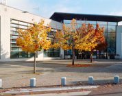 Unlocking Your Teaching Career: A Guide to Education Degrees in Japan