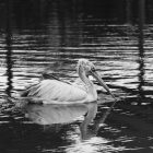 Your First TEFL Job in Hong Kong