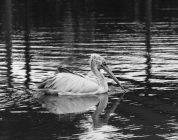 Navigating Your First TEFL Job in Hong Kong