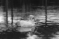 Navigating Your First TEFL Job in Hong Kong