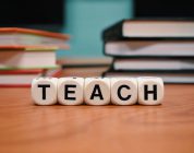 Is Berlitz a Safe Bet for English Teachers in Japan?