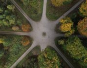 The Crossroads: Chasing a Dream or Building a Resume?