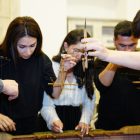 Navigating Your TEFL Course Options Without Breaking the Bank