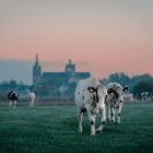 Finding Your Fresh Start Through Teaching Abroad