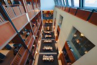 MEd in TESOL vs. MA in Applied Linguistics: Choosing Your Next Career Move