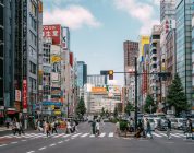 Finding Your Footing in Japan: Short-Term Teaching Opportunities