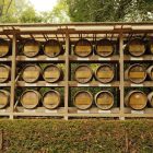 Navigating the English Teaching Job Market in Japan: A Timeline Guide