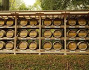 Navigating the English Teaching Job Market in Japan: A Timeline Guide