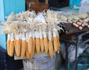 The Practical Path to Teaching English Abroad