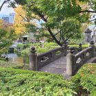 The New Cultural Compass: Why Young Japanese Are Looking Closer to Home
