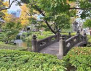 The New Cultural Compass: Why Young Japanese Are Looking Closer to Home