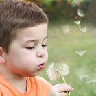 Teaching Tots: Engaging the Youngest English Learners