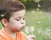 Teaching Tots: Engaging the Youngest English Learners