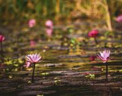 Teaching English in Southern Taiwan: Your Questions Answered