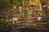 Teaching English in Southern Taiwan: Your Questions Answered