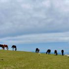 The Unlikely Classroom: How Travel Transforms Your Teaching