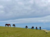 The Unlikely Classroom: How Travel Transforms Your Teaching