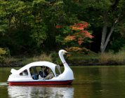 Can You Teach English Abroad with a Family?