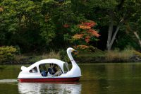 Can You Teach English Abroad with a Family?