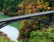 Feeling Stuck in Your TEFL Journey? You’re Not Alone.