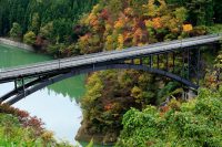 Feeling Stuck in Your TEFL Journey? You’re Not Alone.