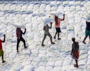 The Global Classroom: A TEFL Journey Through Four Unique Teaching Environments