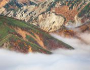 The Trilingual Teacher’s Guide to Launching a Career in Asia