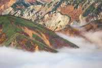 The Trilingual Teacher’s Guide to Launching a Career in Asia