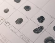 The Great TEFL Background Check Debate: State vs. Federal