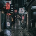 Finding Your Teaching Niche in Japan