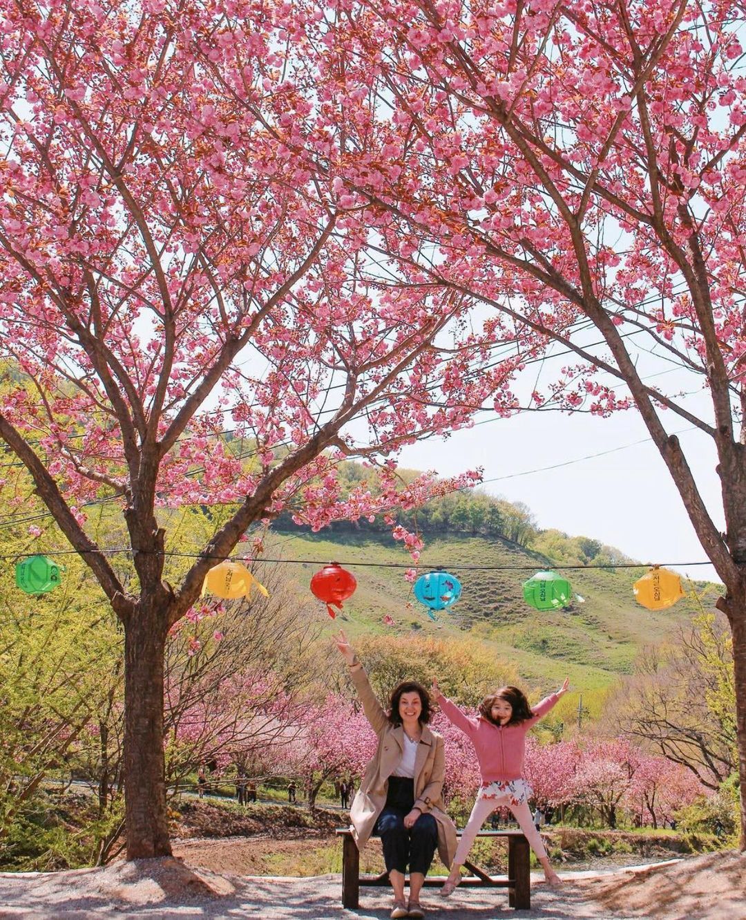 Woman and child under cherry blossom. Teach english in japan